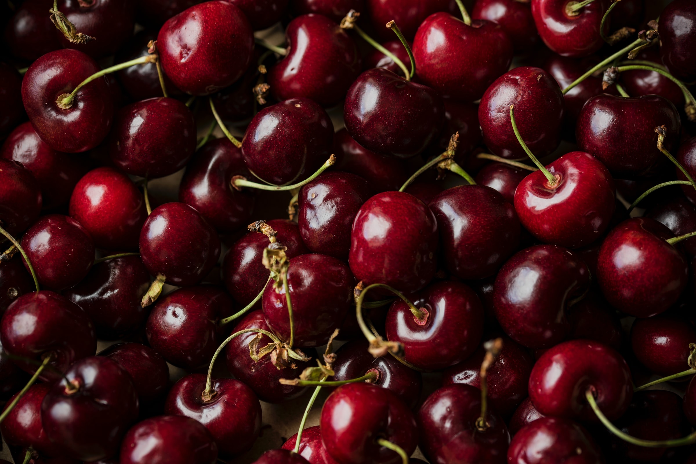 SEO for Food Bloggers: here's how food blogs do SEO